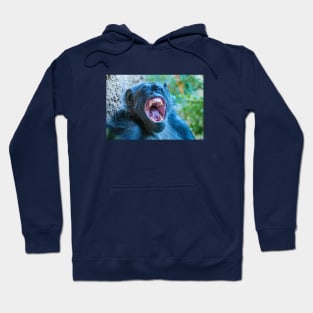 Chimpanzee laugh Hoodie